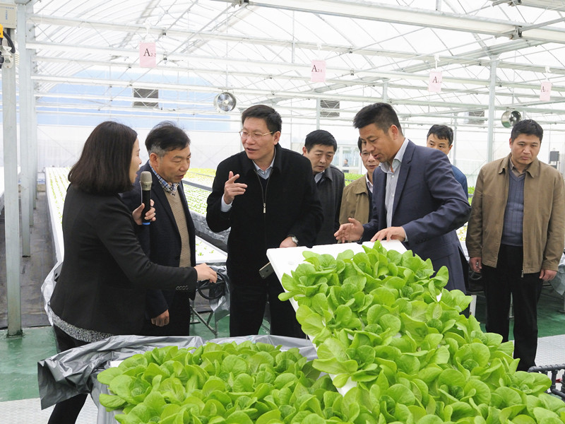 省总社党组书记诸纪录调研无锡市供销合作社三阳植物工厂