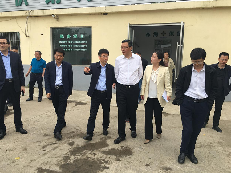 江苏供销合作网 省社要情 省总社徐筱棣调研连云港农业社会化服务工作